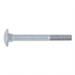 Carriage Square Head Bolt
