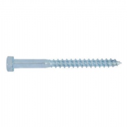 Coach screws