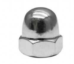 Hex Cap Nut