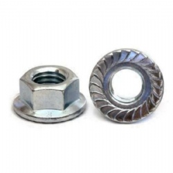 Hex Flange Nut